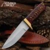 Timber Wolf Pinecone Hunter Knife And Sheath - Stainless Steel Blade, Stabilized Pinecone Handle, Fileworked Tang, Brass Guard - Length 9”