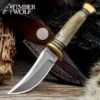 Timber Wolf Mini Trail Knife And Sheath - Stainless Steel Blade, Stag Handle, Brass Pommel - Length 6 1/4”