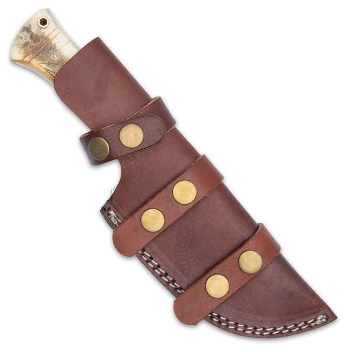 Timber Wolf Samburu Knife And Sheath - Stainless Steel Blade, Bone Handle, Lanyard Hole - Length 10” 2 Timber Wolf Samburu Knife And Sheath - Stainless Steel Blade, Bone Handle, Lanyard Hole - Length 10” - Image 2
