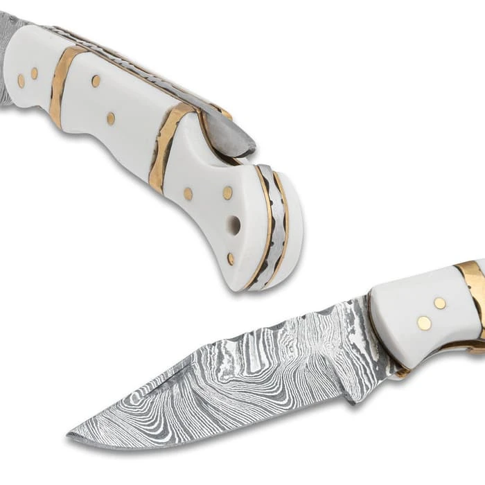 Timber Wolf Ivory Coast Pocket Knife - Damascus Steel Blade, Bone Handle Scales, Brass Fileworked Spacers - Closed 3 3/4" 2 Timber Wolf Ivory Coast Pocket Knife - Damascus Steel Blade, Bone Handle Scales, Brass Fileworked Spacers - Closed 3 3/4" - Image 2