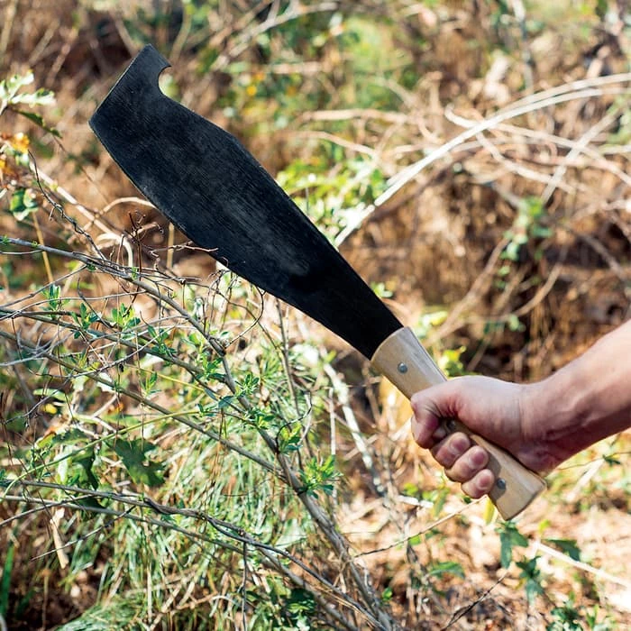 Gavilan Colombian Cane Hook Machete Five-Pack - 1074 High Carbon Steel Blade, Hardwood Handle - Length 21” 3 Gavilan Colombian Cane Hook Machete Five-Pack - 1074 High Carbon Steel Blade, Hardwood Handle - Length 21” - Image 3