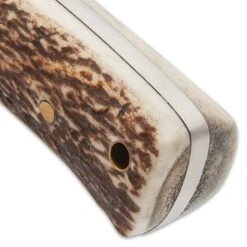 Special Edition Hibben Stag Chugach Hunter Knife With Sheath - German Steel Blade, Genuine Stag Handle, Brass Hand Guard -Knife Series Shop D17 GH5084GS