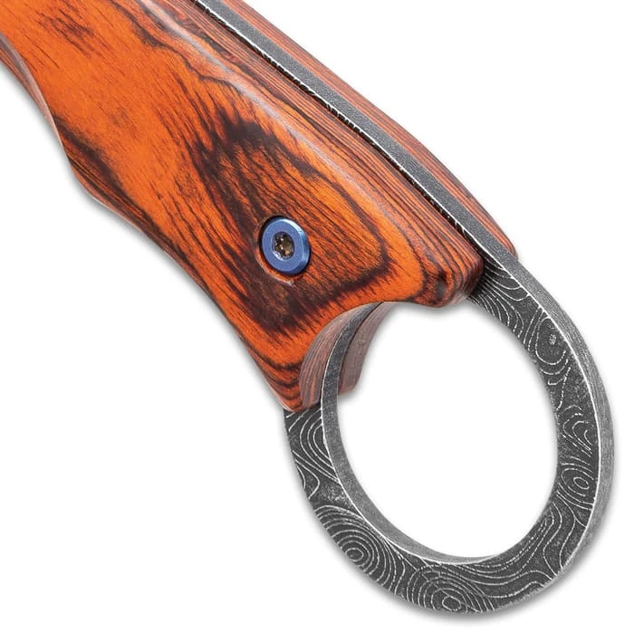 Shinwa Bloodwood Cleaver Knife With Sheath - 3Cr13 Stainless Steel Blade, Full-Tang, Pakkawood Handle Scales - Length 9” 3 Shinwa Bloodwood Cleaver Knife With Sheath - 3Cr13 Stainless Steel Blade, Full-Tang, Pakkawood Handle Scales - Length 9” - Image 3