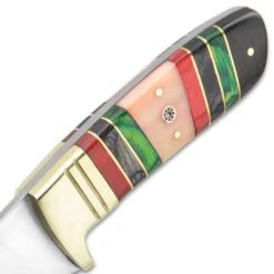 Timber Wolf Emerald Isle Knife With Sheath - Stainless Steel Blade, Full-Tang, Bone And Wood Handle, Brass Bolster - Length 9” -Knife Series Shop D17 TW1035