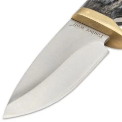 Timber Wolf Grey Skinner Knife And Sheath - Stainless Steel Blade, Pakkawood Handle Scales, Brass Half-Guard - Length 9” -Knife Series Shop D17 TW1202