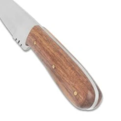 Timber Wolf Mini Hunting Knife And Sheath - Stainless Steel Blade, Wooden Handle, Brass Pins - Length 8" -Knife Series Shop D17 TW1402