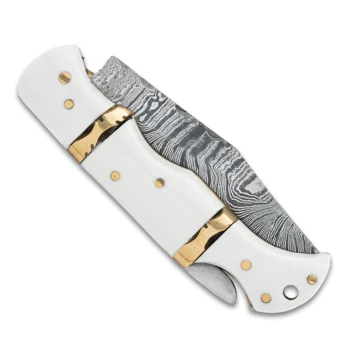 Timber Wolf Ivory Coast Pocket Knife - Damascus Steel Blade, Bone Handle Scales, Brass Fileworked Spacers - Closed 3 3/4" 3 Timber Wolf Ivory Coast Pocket Knife - Damascus Steel Blade, Bone Handle Scales, Brass Fileworked Spacers - Closed 3 3/4" - Image 3