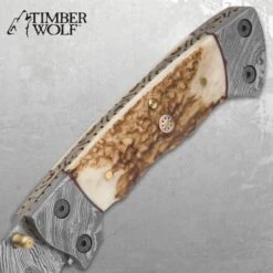 Timber Wolf Damascus And Stag Horn Pocket Knife - Damascus Steel Blade, Stag Horn Handle, File Worked Brass Liners - Closed 4 1/2” -Knife Series Shop D19 TW854