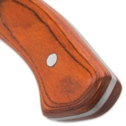 Ridge Runner Denali Ridge Bowie Knife With Sheath - 3Cr13 Stainless Steel Blade, Pakkawood Handle, Length 16 7/10” -Knife Series Shop E17 RR839