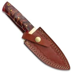Timber Wolf Pinecone Hunter Knife And Sheath - Stainless Steel Blade, Stabilized Pinecone Handle, Fileworked Tang, Brass Guard - Length 9” -Knife Series Shop E17 TW1255