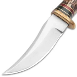 Timber Wolf Mini Trail Knife And Sheath - Stainless Steel Blade, Stag Handle, Brass Pommel - Length 6 1/4” -Knife Series Shop E17 TW1372