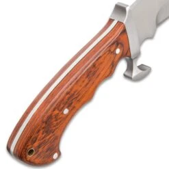 Ridge Runner Woodland Reverie Bowie / Fixed Blade Knife - Stainless Steel, Full Tang - Genuine Zebrawood - Nylon Sheath - Collecting, Field Use, Display And More - 13 1/4" -Knife Series Shop F17 RR730