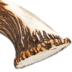 Timber Wolf King Stag Antler Crown Knife With Sheath - Stainless Steel Blade, Genuine Horn Handle, Brass Handguard - Length 22 1/2” -Knife Series Shop F17 TW1063