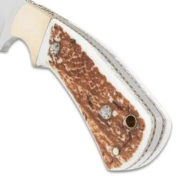 Gil Hibben Diamondback Stag Knife And Sheath - German 1.4116 Steel Blade, Stag Handle, Nickel Silver Bolster - Length 7 7/8” -Knife Series Shop G17 GH5100GS